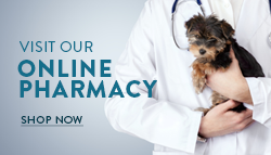 Online pharmacy